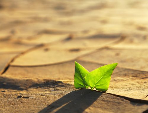 Rester ou tout changer ? Comment écouter les signes quand la vie vous pousse à un tournant